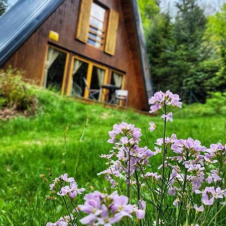 Chata Pod Tolstejnem Villa Jiretin pod Jedlovou Exterior photo
