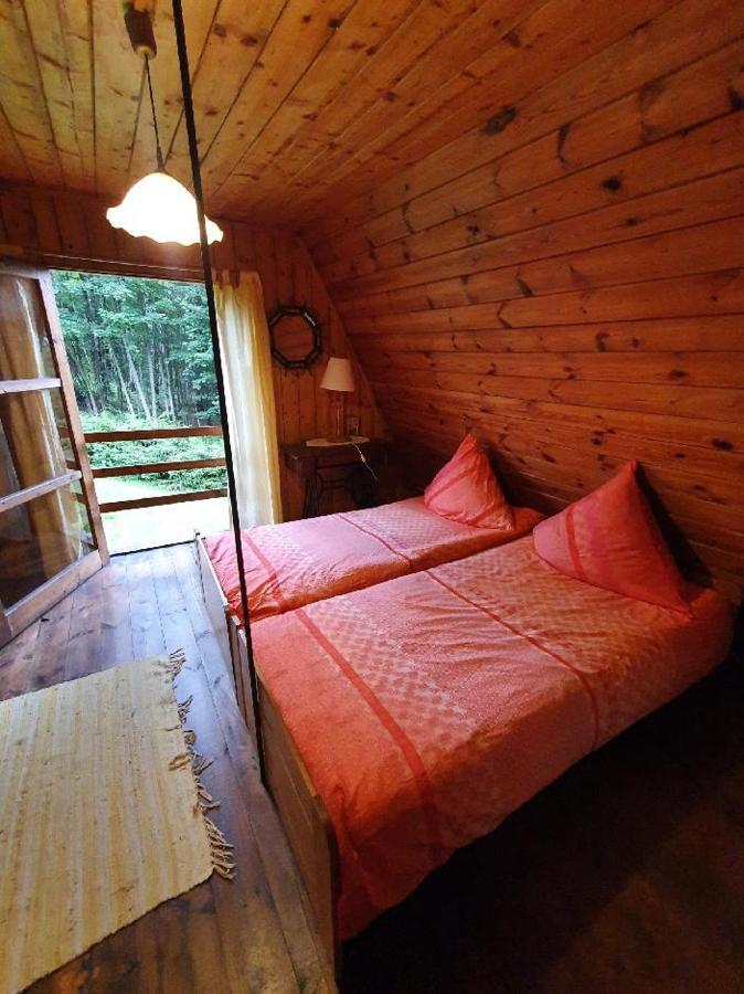 Chata Pod Tolstejnem Villa Jiretin pod Jedlovou Exterior photo