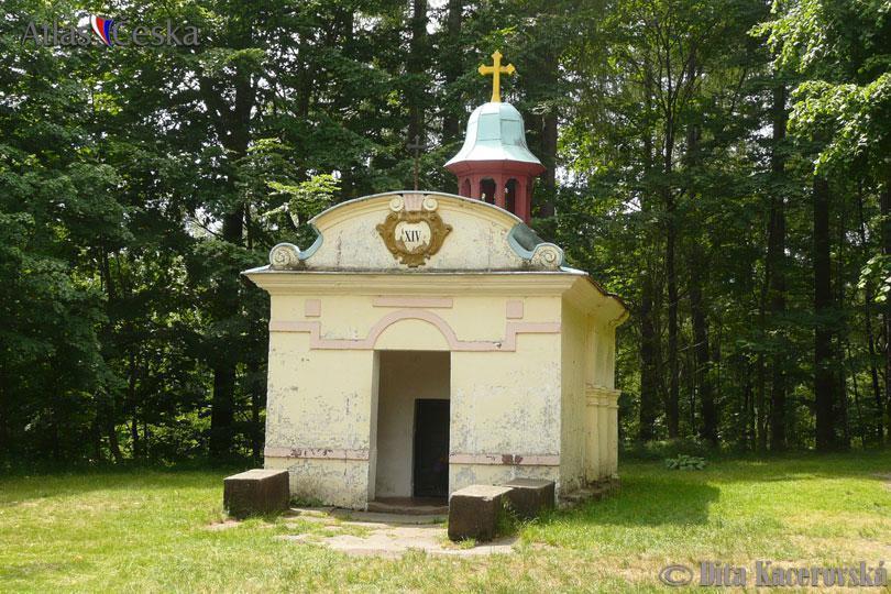 Chata Pod Tolstejnem Villa Jiretin pod Jedlovou Exterior photo